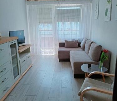 Olecko Apartamento | Apartament Mazury