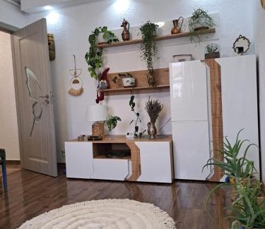 Medias Apartamento | Apartament Medias Metanului