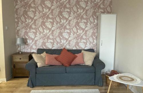 Busko-Zdroj Apartamento | Apartament Mickiewicza