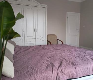 Olsztyn Apartamento | Apartament Mickiewicza
