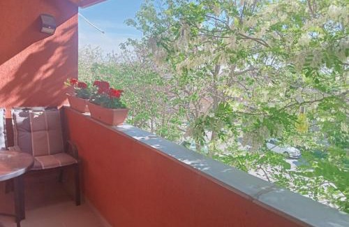 Timisoara Apartamento | Apartament Miloia-Timisoara
