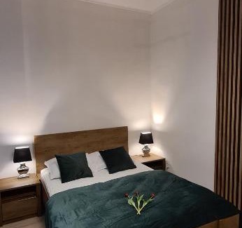Przemysl Apartamento | Apartament Mnisza 8