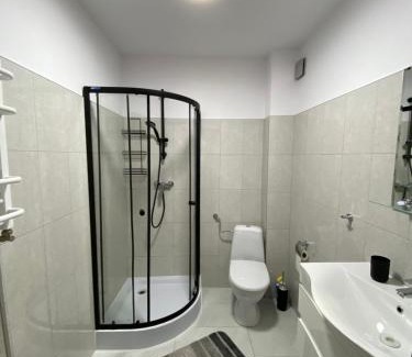 Lubawka Apartamento | Apartament Muflonik
