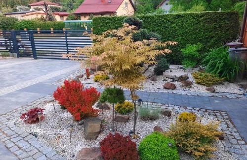 Olszanica Apartamento | Apartament na górce