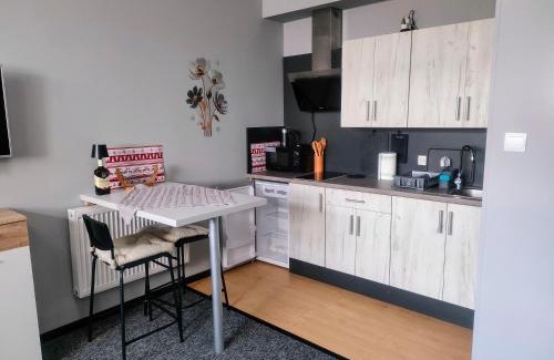 Starogard Gdanski Apartamento | Apartament Na Reymonta
