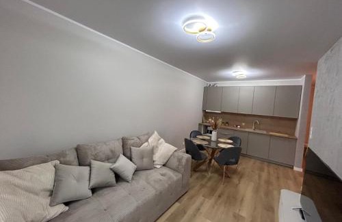 Grudziadz Apartamento | Apartament na Wisłą