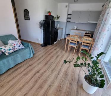 Tczew Apartamento | Apartament Nad Wisłą u Ani