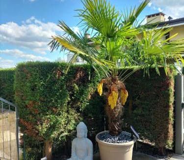 Colà Di Lazise Apartamento | Apartament Nadine
