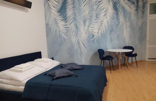 Nowy Sacz Apartamento | Apartament Niebieski Lwowska 56