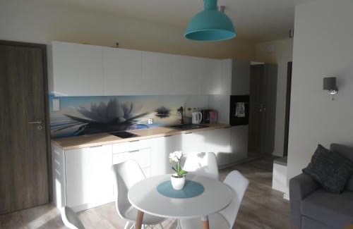 Sianozety Apartamento | Apartament Nika Pool&SPA 5mórz