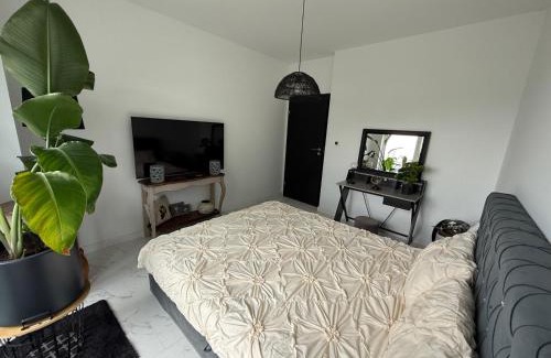 gmina Kazmierz Apartamento | Apartament Nowość 65 m2