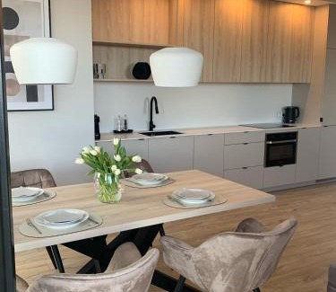 Srodmiescie Apartamento | Apartament Oficer Portova
