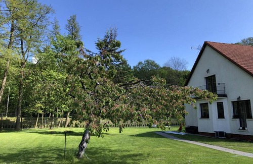 Wyspa Sobieszewska Apartamento | Apartament Olszynka