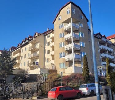 Pogorze Apartamento | Apartament Panorama Miasta