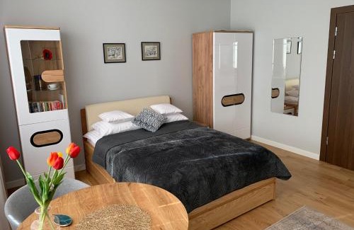 Zamosc Apartamento | Apartament Perłowy