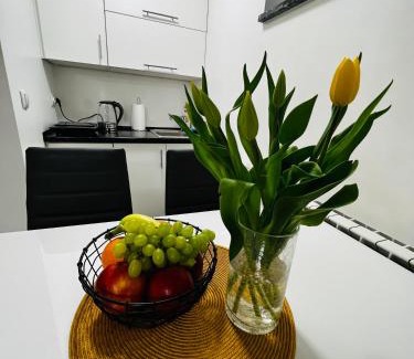 Pietrzykowice Apartamento | Apartament PLAY