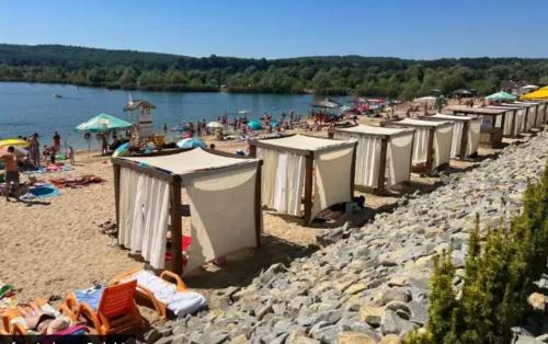 Przemysl Apartamento | Apartament Plaza Park