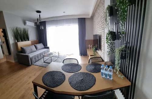 Kielce Apartamento | Apartament Plaza Tower Deluxe -Zagnańska (Garaż, Targi)