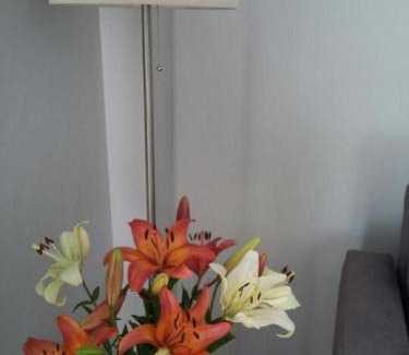 Sandomierz Apartamento | Apartament pod czwórką