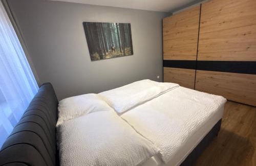 Kudowa Zdroj Apartamento | Apartament Pod Leśnym Niebem