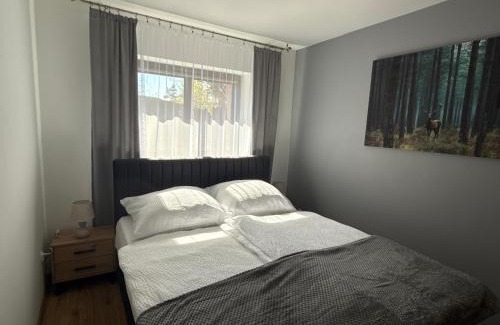 Kudowa Zdroj Apartamento | Apartament Pod Leśnym Niebem