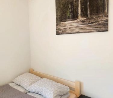 Hajnowka Apartamento | Apartament Pod Lipami