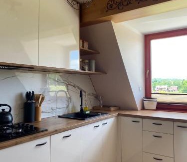 Dzianisz Apartamento | Apartament Pod Ostryszem