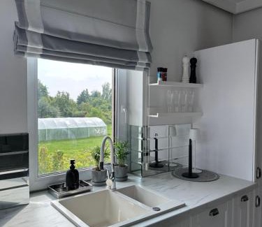 Grudziadz Apartamento | Apartament Polli