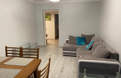 Gorzow Wielkopolski Apartamento | Apartament Przy Katedrze