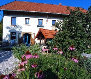 Sedziszowa Apartamento | Apartament przy lesie z osobnym wejściem