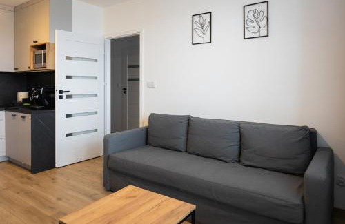 Biala Podlaska Apartamento | Apartament przy PILECKIEGO 34