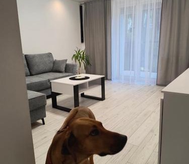 Sanok Apartamento | APARTAMENT Przy Rynku