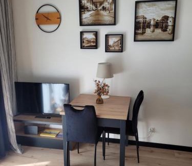 Elblag Apartamento | Apartament przy Starówce z tarasem