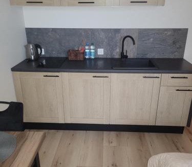 Elblag Apartamento | Apartament przy Starówce z tarasem