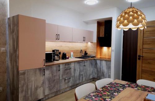 Karpacz Apartamento | Apartament przy stoku - Pod Papugami Karpatia Resort