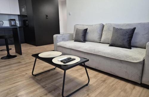 Biala Podlaska Apartamento | Apartament przy WROCZYŃSKIEGO 5 z miejscem garażowym