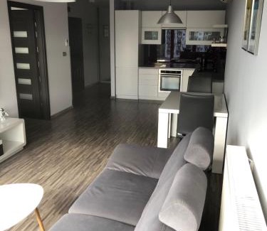 Zielona Gora Apartamento | Apartament Ptasia
