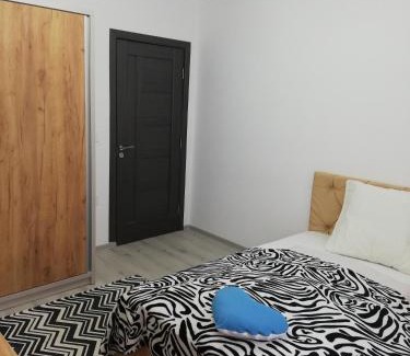 Toplita Apartamento | Apartament Raluca