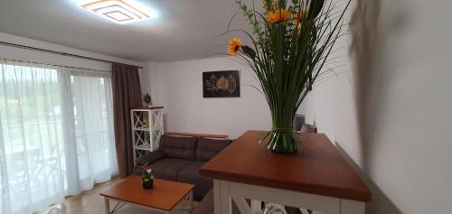 Tirgu Mures Apartamento | Apartament Relaxa Green 3 - 2 Rooms - AC - Parking