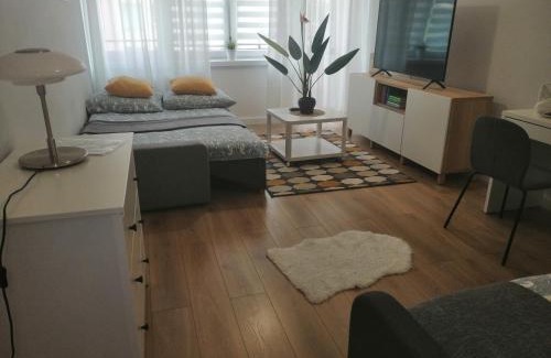 Wloclawek Apartamento | Apartament Rodzinny - Classic Olszowa