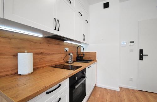 Trzebiatow Apartamento | Apartament Rogowo