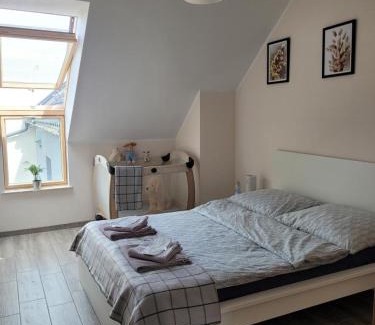 Bolszewo Apartamento | Apartament Słowińców 61