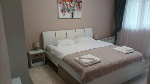 Baile Herculane Apartamento | Apartament Serenity