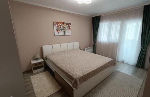 Baile Herculane Apartamento | Apartament Serenity