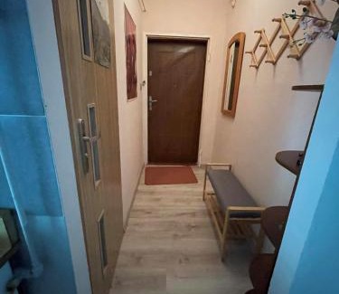 Jedlina-Zdroj Apartamento | Apartament Snooze