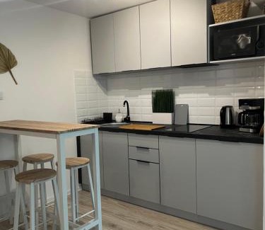 Torun Apartamento | Apartament Soplicy 17