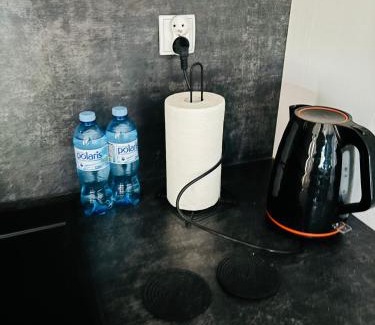 Torun Apartamento | Apartament Sosnowy Zakątek