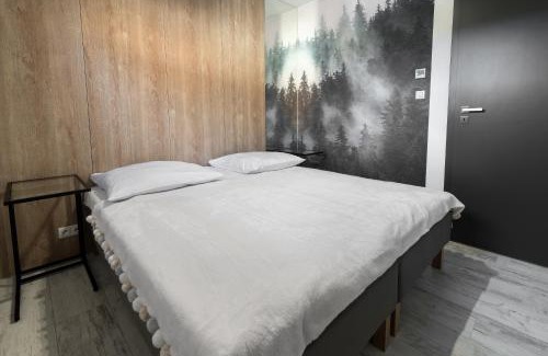 Jaworki Apartamento | Apartament Strumień