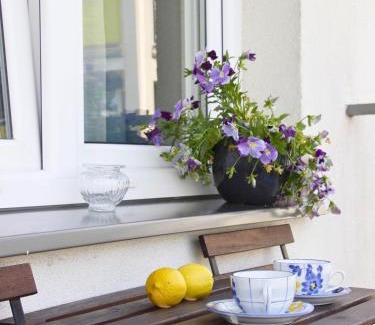 Biala Podlaska Apartamento | Apartament Studio 208