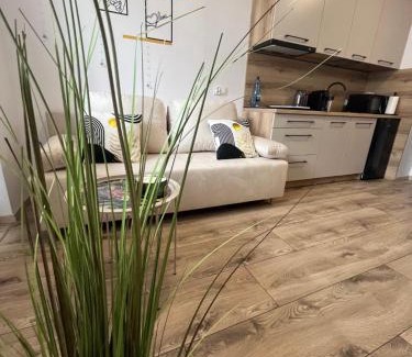 Biala Podlaska Apartamento | Apartament Sukces